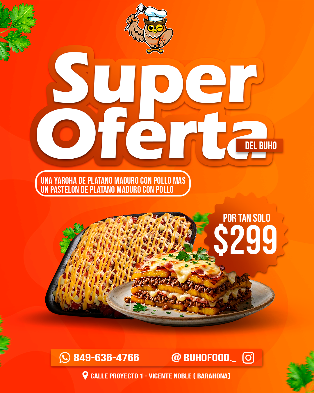 Oferta pastelon 